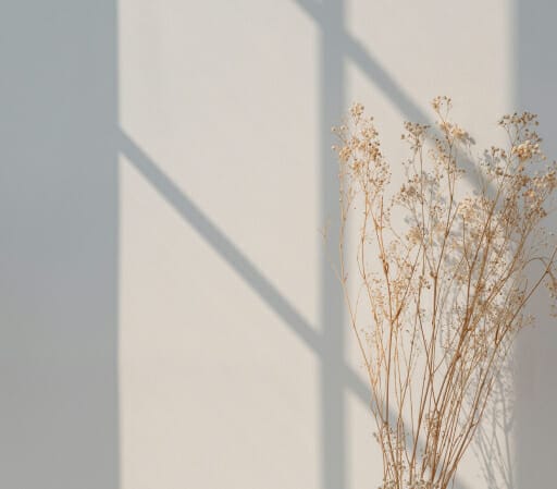 about-us-story-1